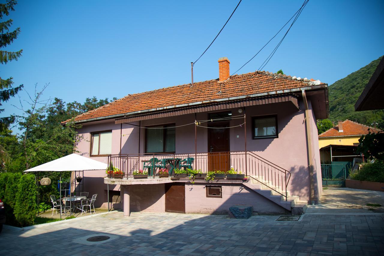 Apartments Cvetkovic Relax Niska Banja Bagian luar foto
